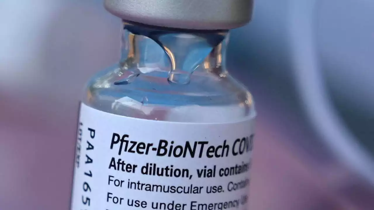 Pfizer Seeking OK for 4th COVID Dose for Seniors: AP Source