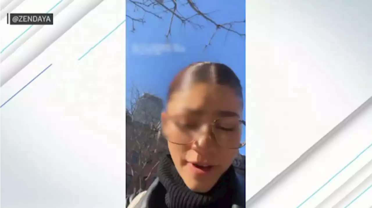 Super Sleuths Spy Zendaya Hanging Out in Boston