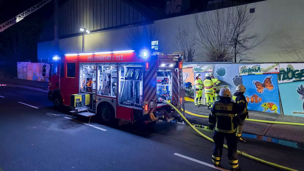 Vögel sterben bei Brand im Kölner Zoo