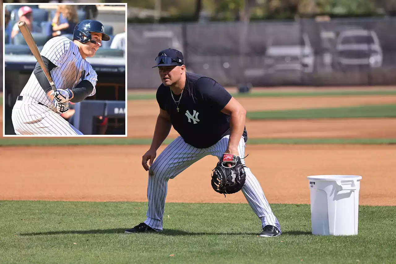 Anthony Rizzo signing means Luke Voit’s Yankees end is near