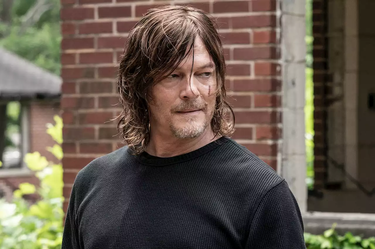 Norman Reedus suffers head injury on ‘The Walking Dead’ set