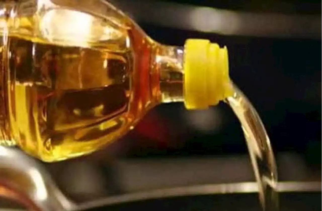 राहत: सरसों समेत खाने के सभी तेल सस्ते | Relief: All edible oils including mustard are cheap | Patrika News