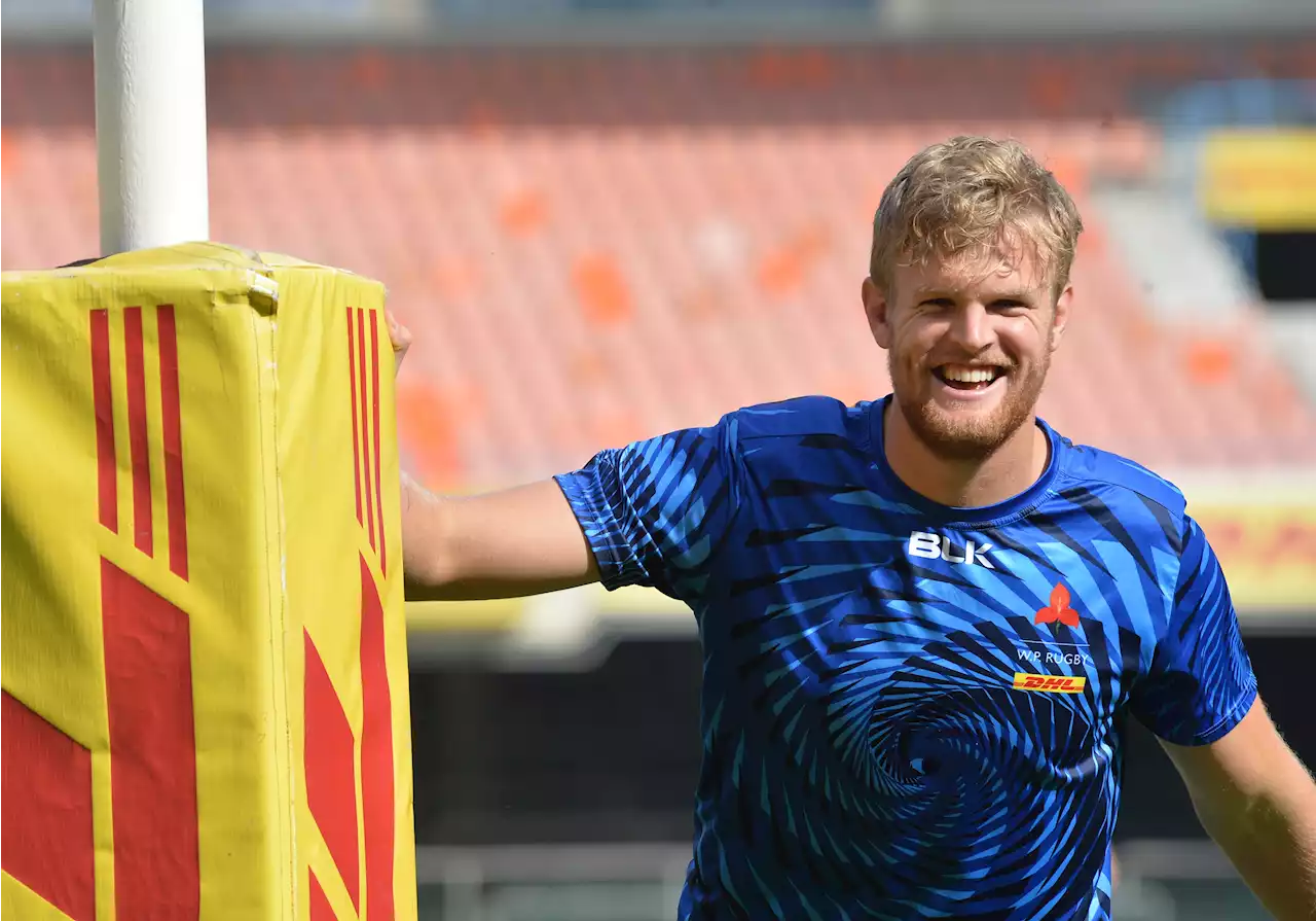 Stormers coach Dobson 'gutted' for retiring lock David Meihuizen