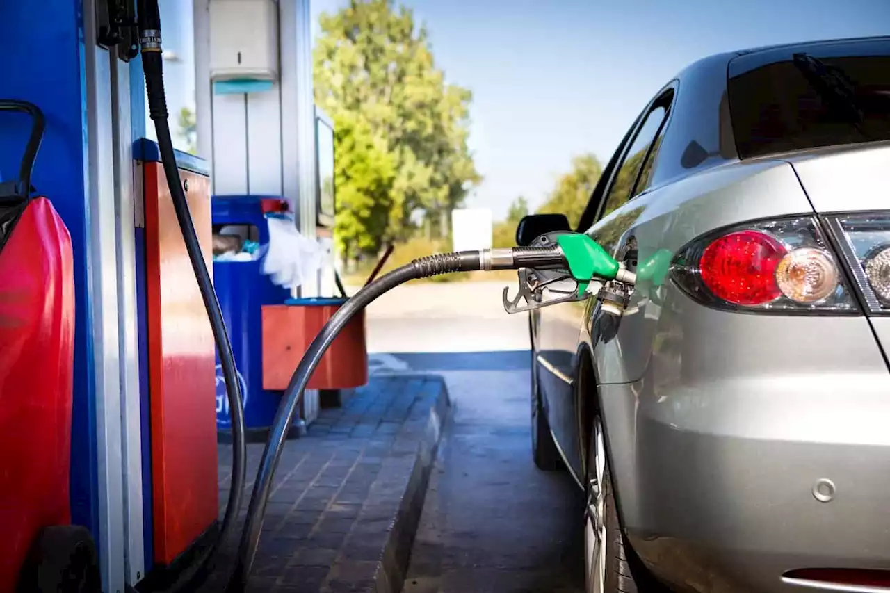 Government ponders cutting fuel levies and taxes to battle incoming price hikes