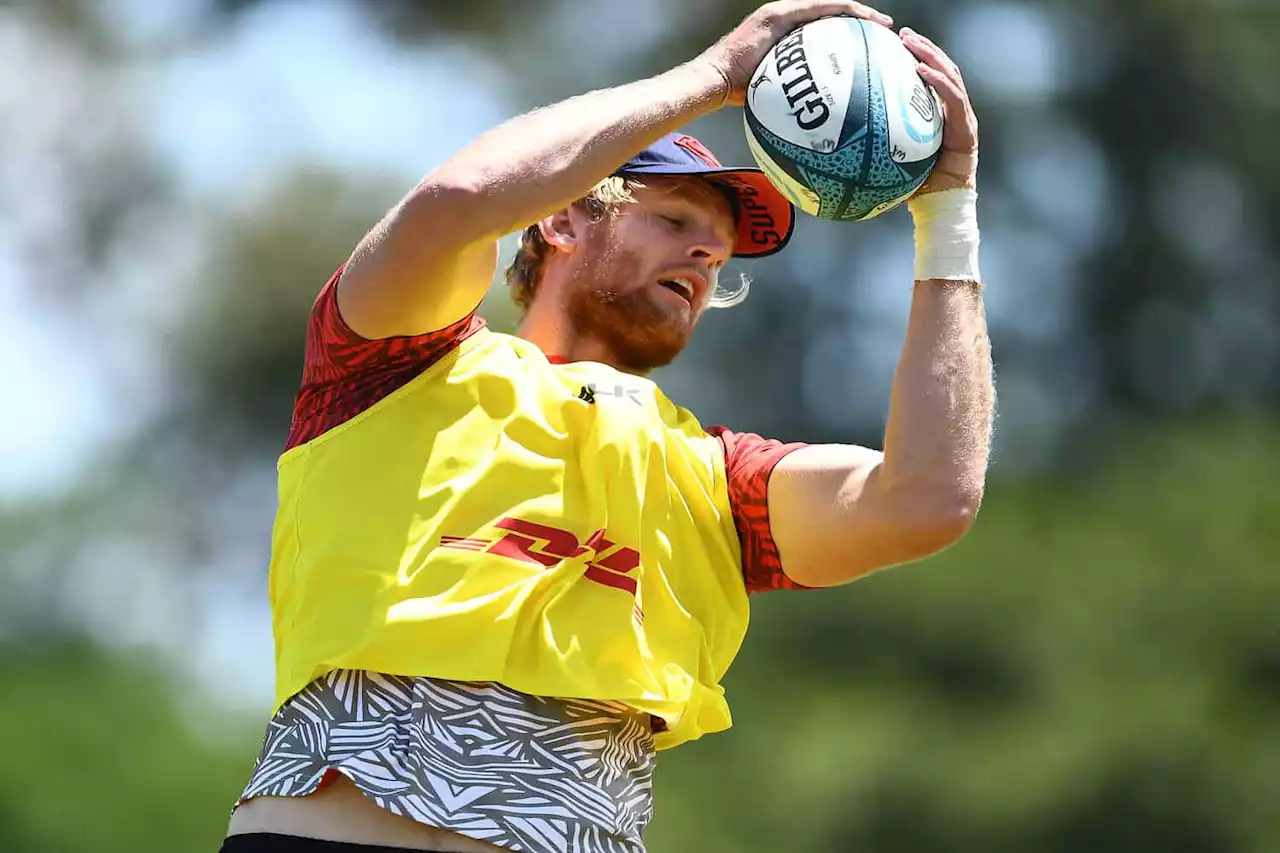 WP, Stormers lock Meihuizen forced to quit rugby at 24