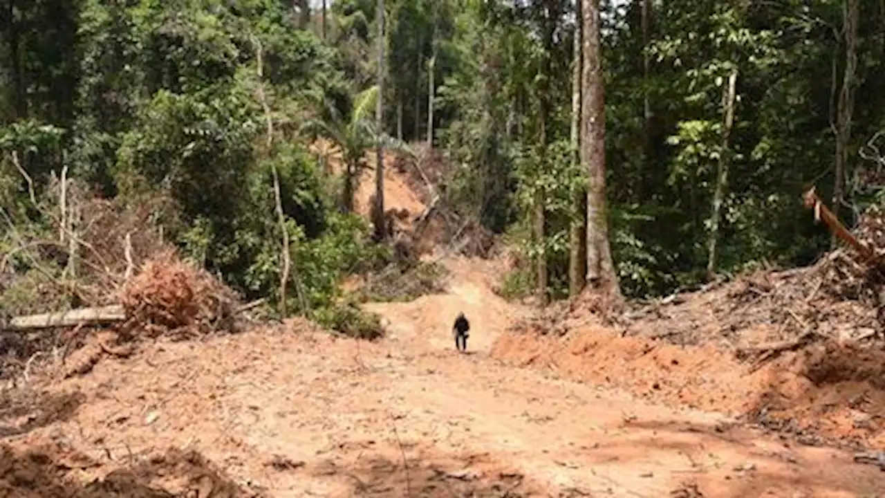 Brazil firms blast Bolsonaro bill on mining Indigenous lands