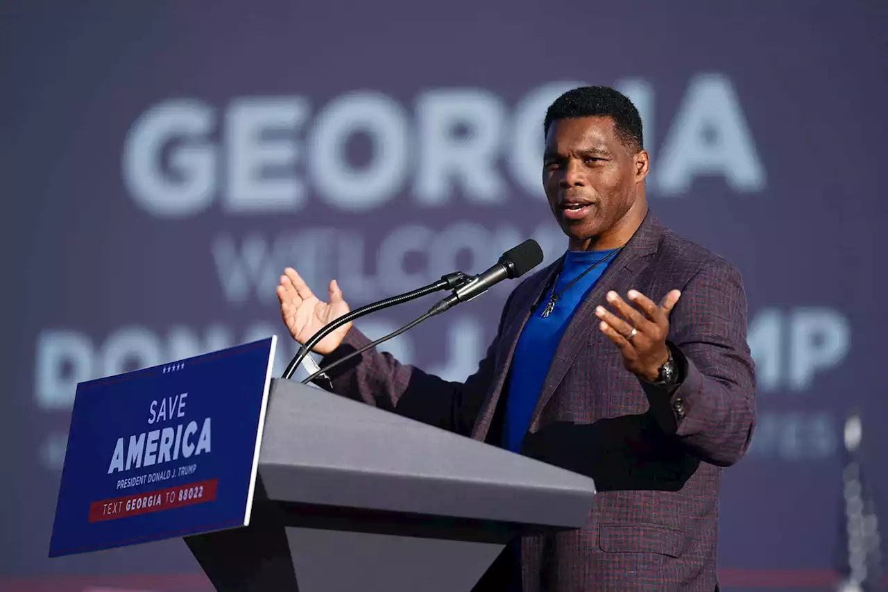 Senate candidate Herschel Walker questions evolution, asking, ‘Why are there still apes?’