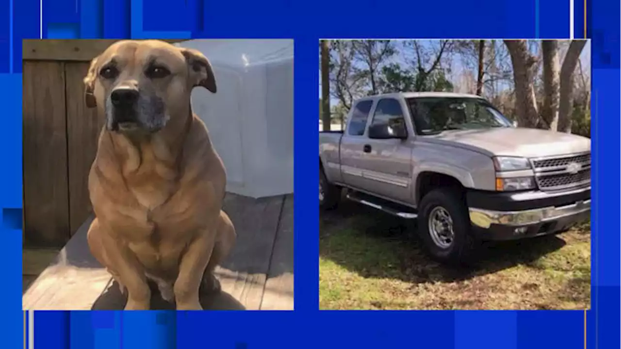 Pickup stolen from Philips Highway Wawa with dog still inside, woman says