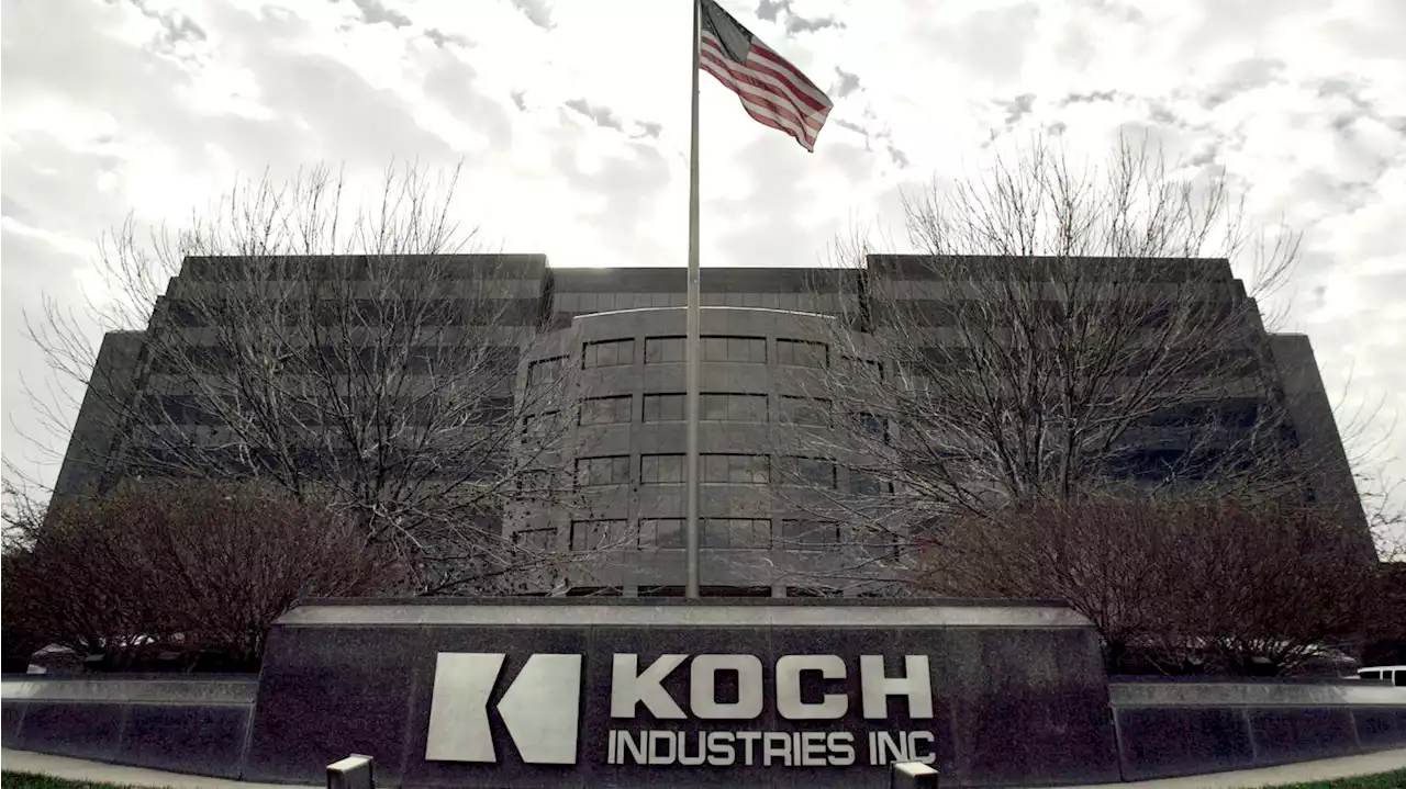 Koch says it will continue operating in Russia