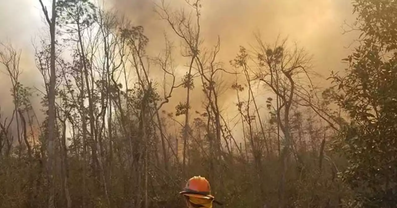 U.S. wildfires became larger, more frequent and more widespread in last 20 years