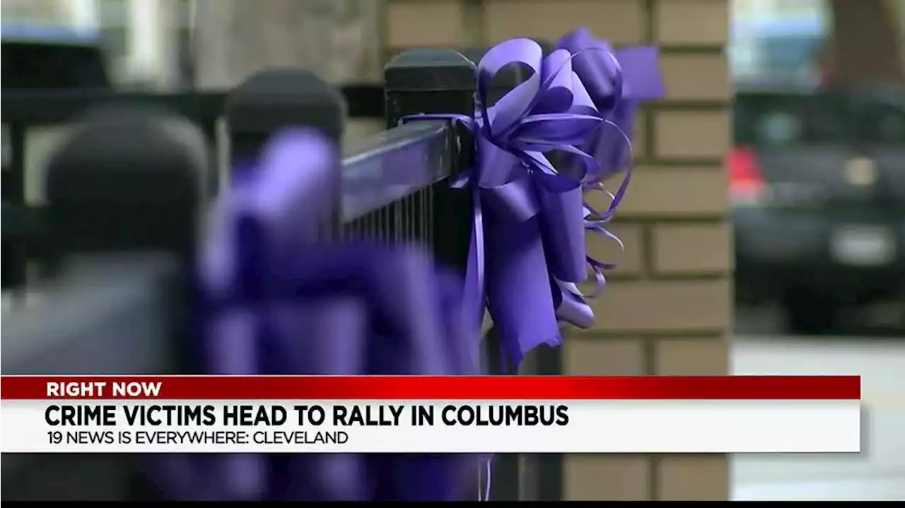 Hundreds of crime victims rally in Columbus for more policies protecting them