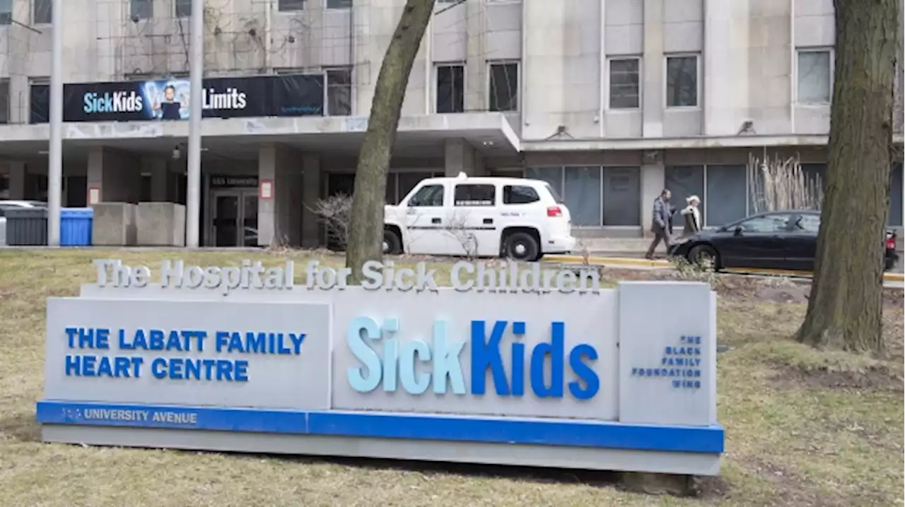 Two Ukrainian children arrive in Toronto for cancer treatment at SickKids