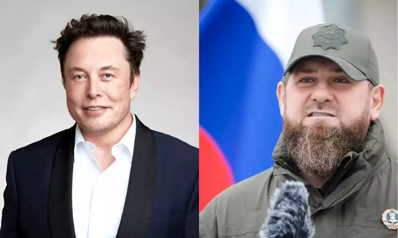 Over 30 'Elona' Scam Tokens Spawn After Verbal Clash Between Musk and Kadyrov