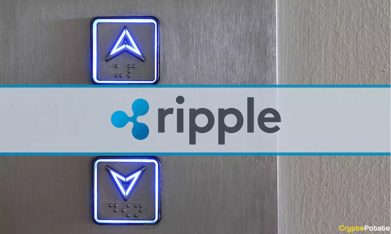 Ripple Joined by Former White House Advisor as Board Member