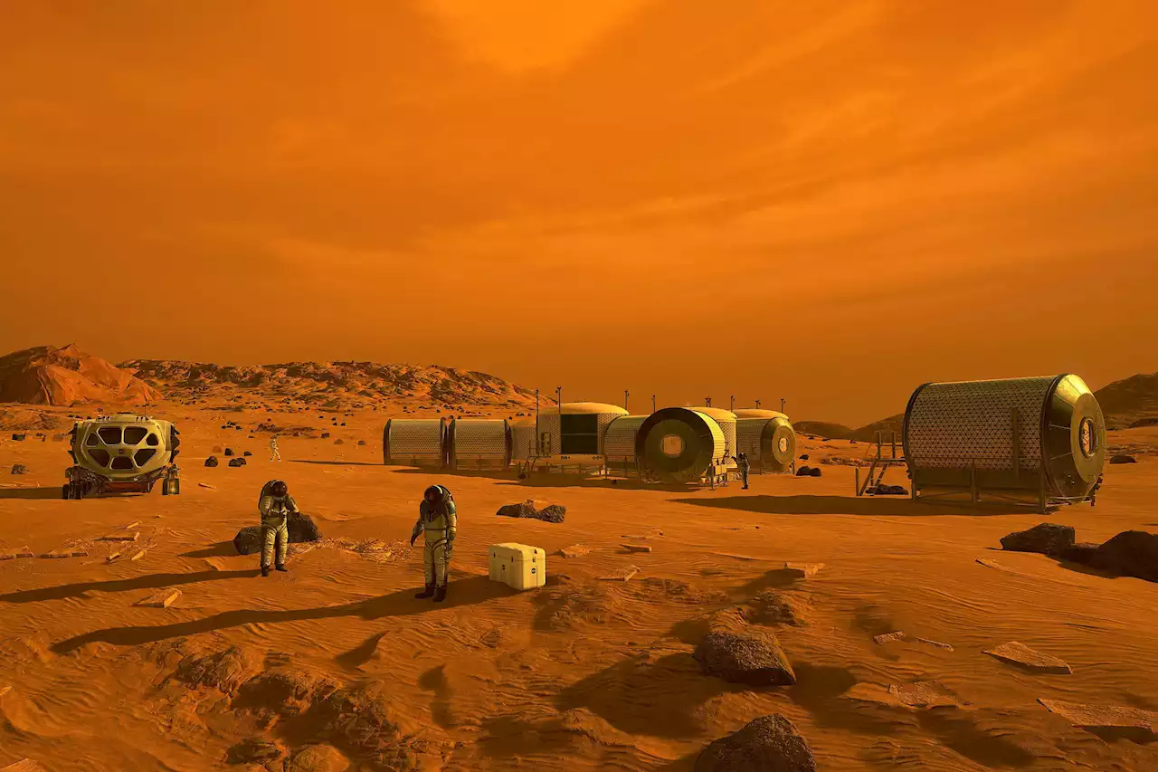 Elon Musk predicts date for first crewed landing on Mars | Digital Trends