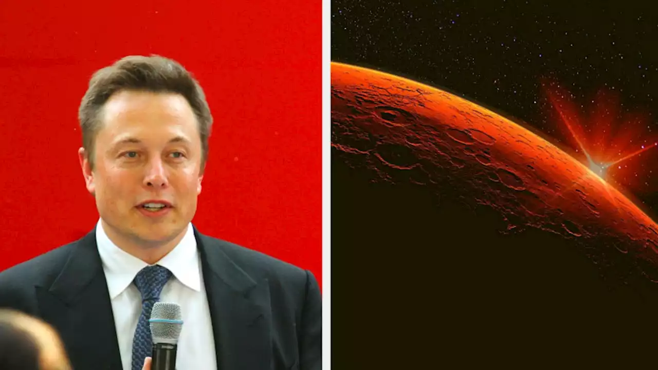 Elon Musk confirms a prediction for when humans will go to Mars