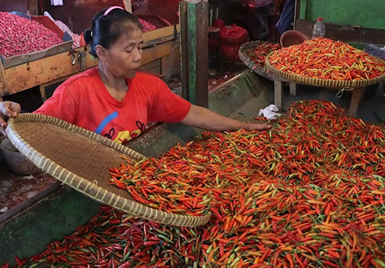 Jelang Ramadan, DKPP Surabaya Sebar Bibit dan Operasi Pasar Cabai