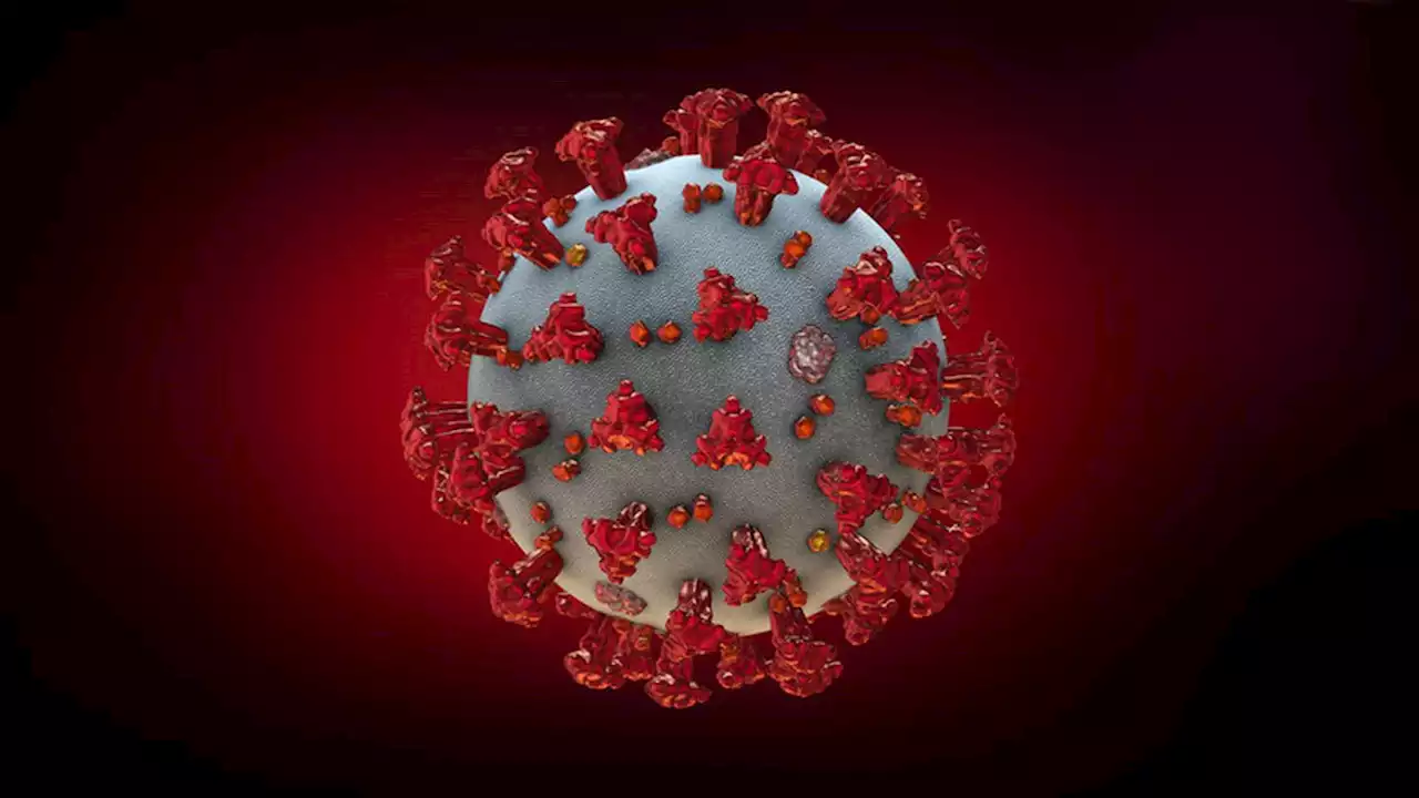 BA.2 version of COVID-19 virus beginning to spread in US; more contagious than omicron