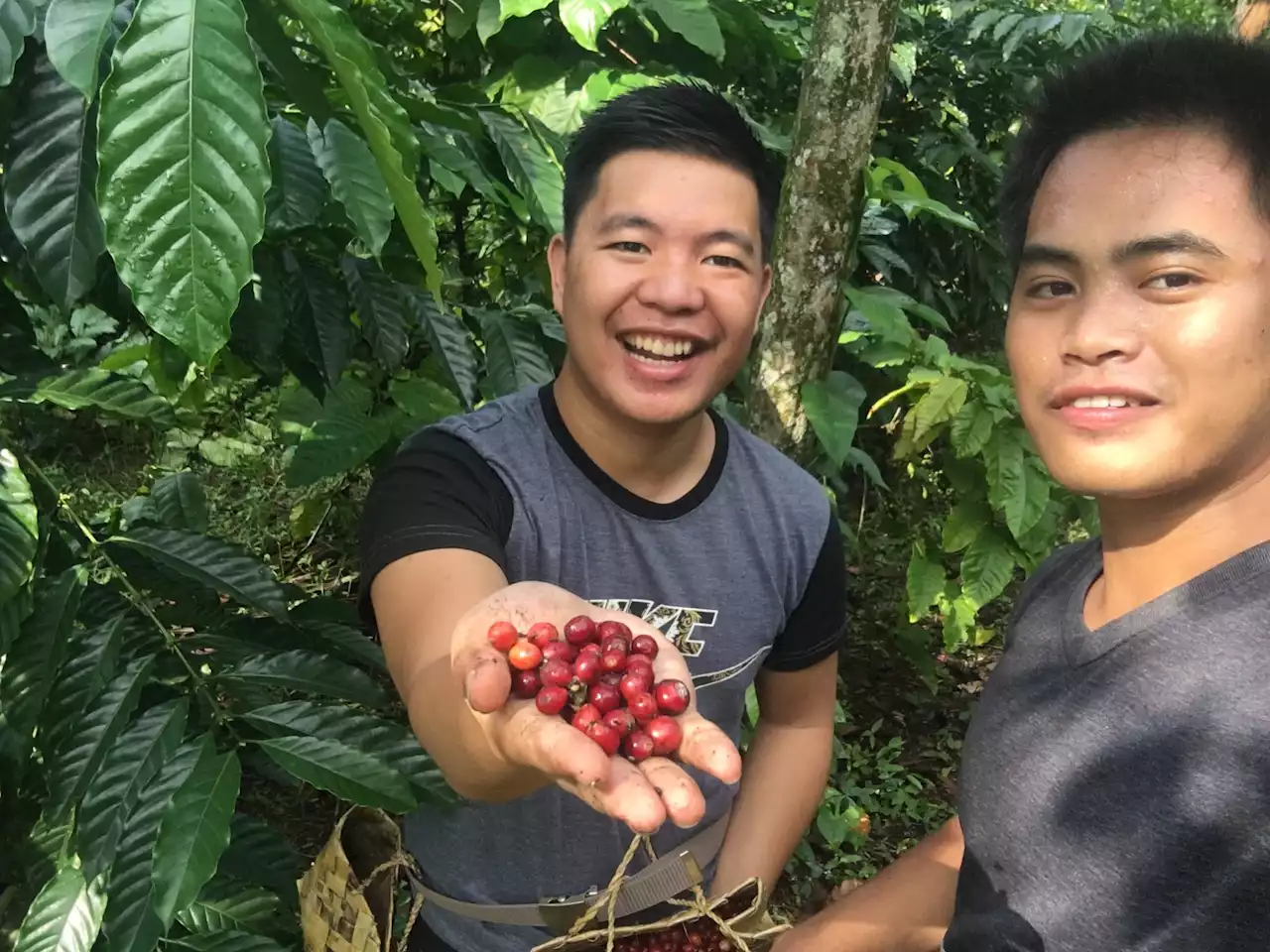 Young IP farmers set out to prove that coffee farming goes hand in hand with forest conservation