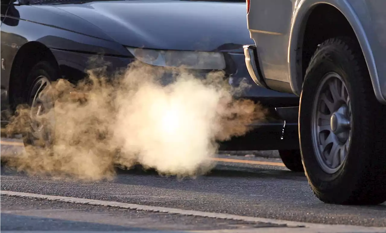 Google-Backed Start-Up Launches Free Carbon Emissions Tracker