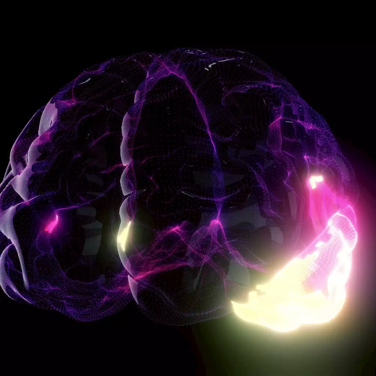 Neuroscience course: Discover how your brain works