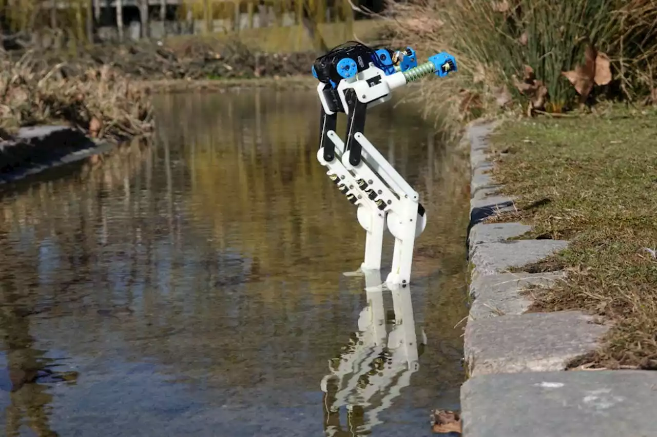 Watch emu-inspired robot legs that use less energy to run