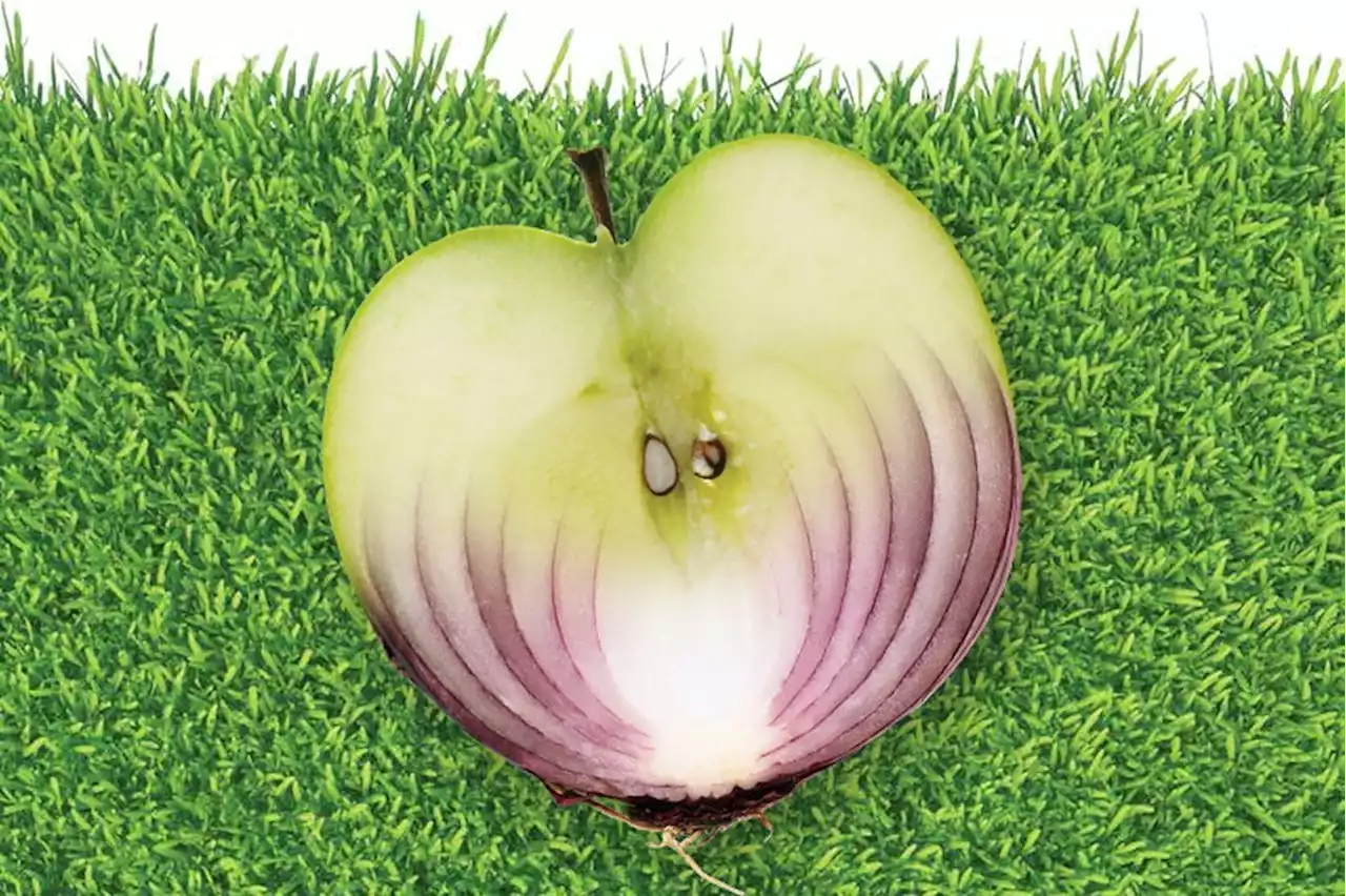 This weird trick can make an onion taste like an apple