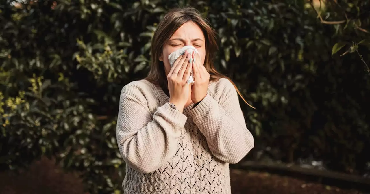 A Study Predicts Allergy Season Could Start 40 Days Sooner Due to Climate Change