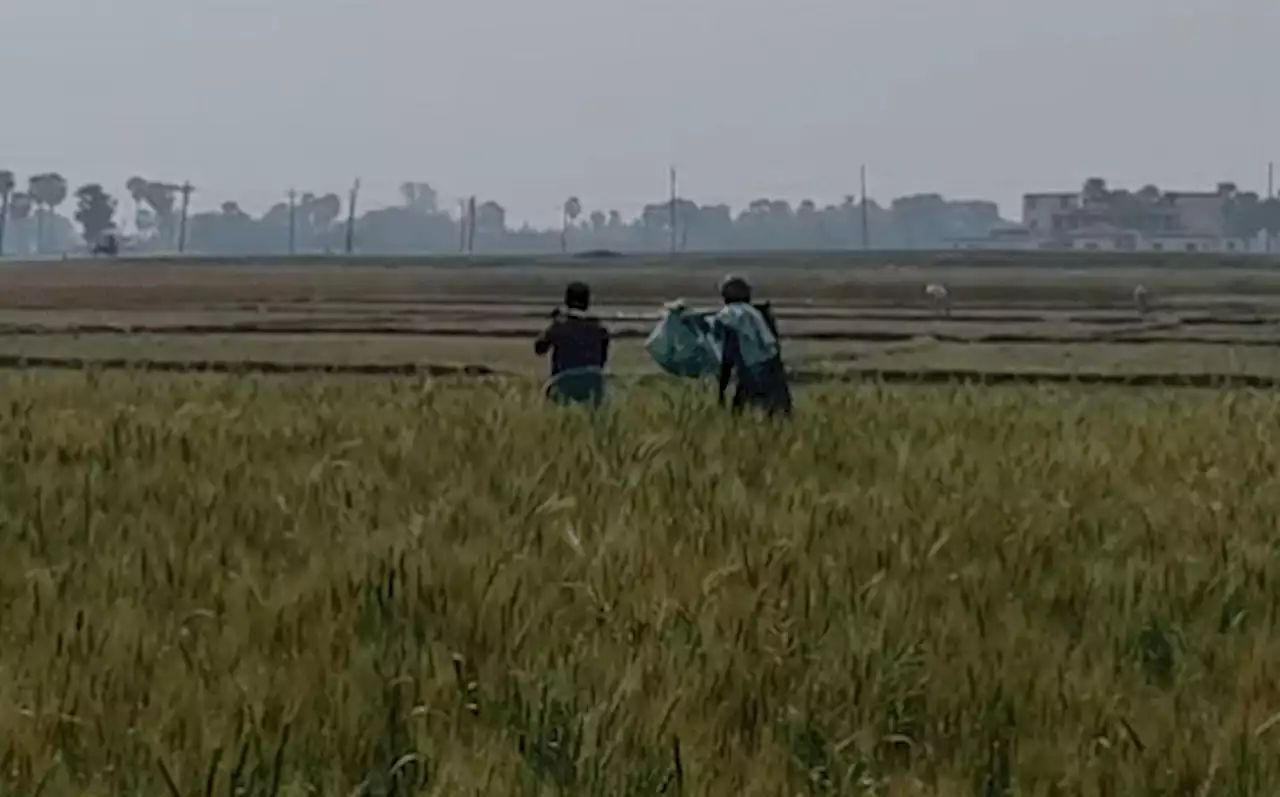 अमानवीय: डेढ़ महीने बाद मिला इकलौते बेटे का शव, पुलिस बांस में टांगकर ले गई