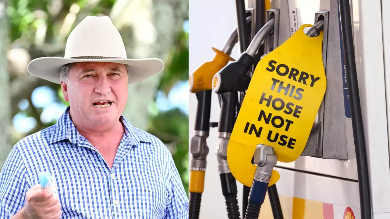 Joyce rejects claims cut to fuel excise will improve cost of living