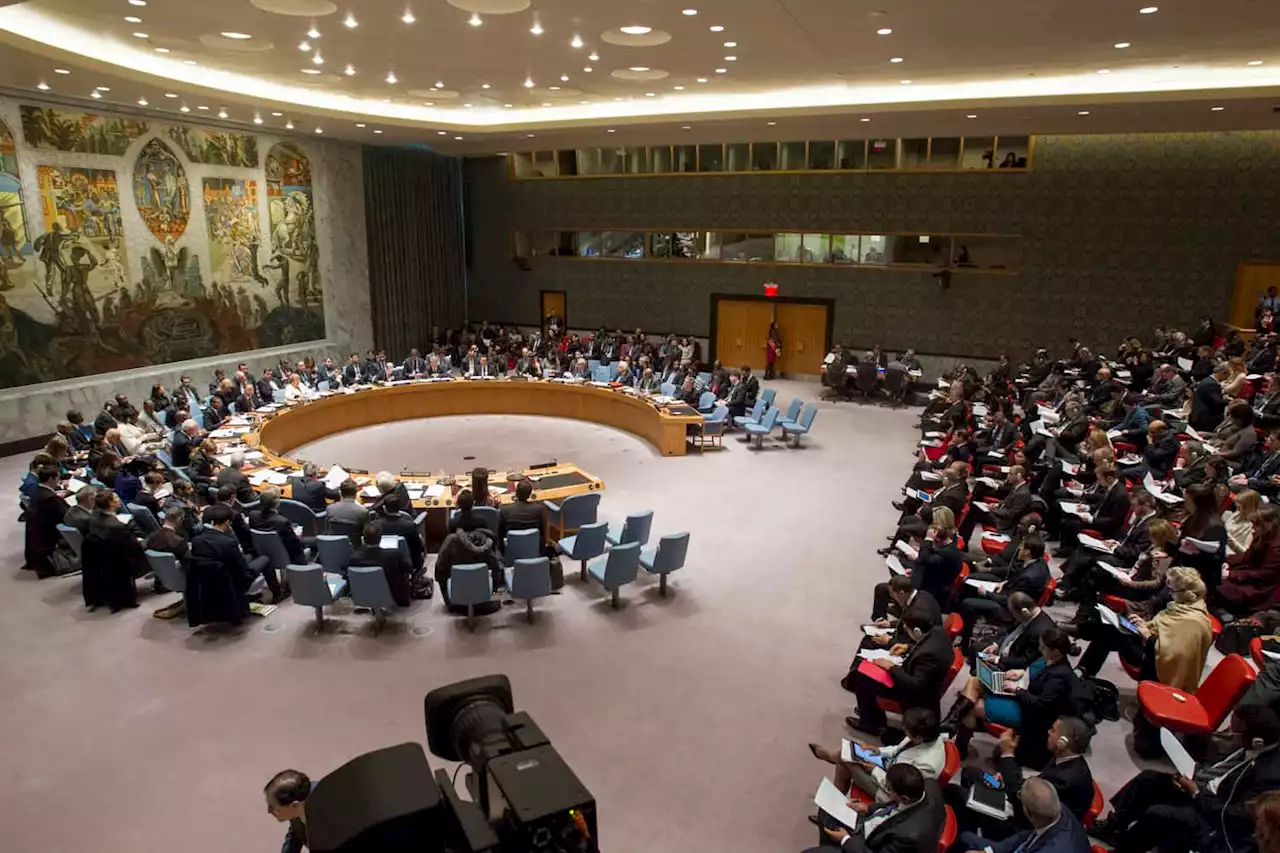 UN Security Council to hold emergency meeting on escalating humanitarian crisis in Ukraine