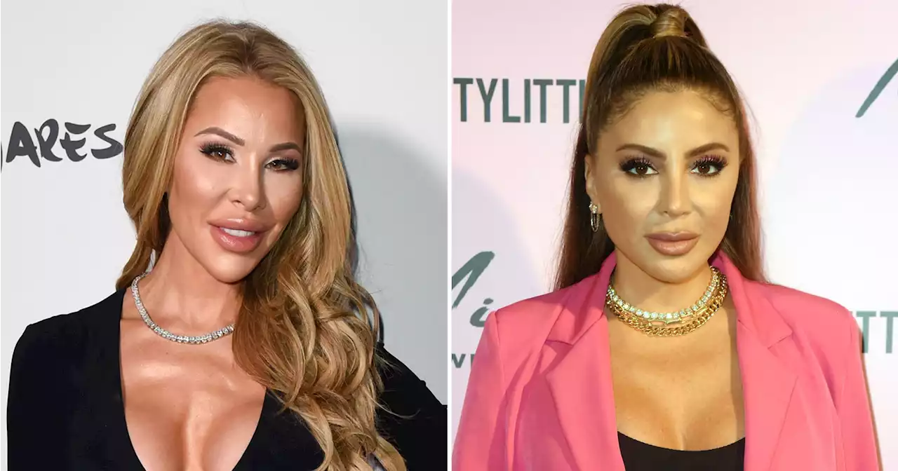 RHOM’s Lisa Hochstein: Larsa Pippen Doesn't Need to Discuss Plastic Surgery