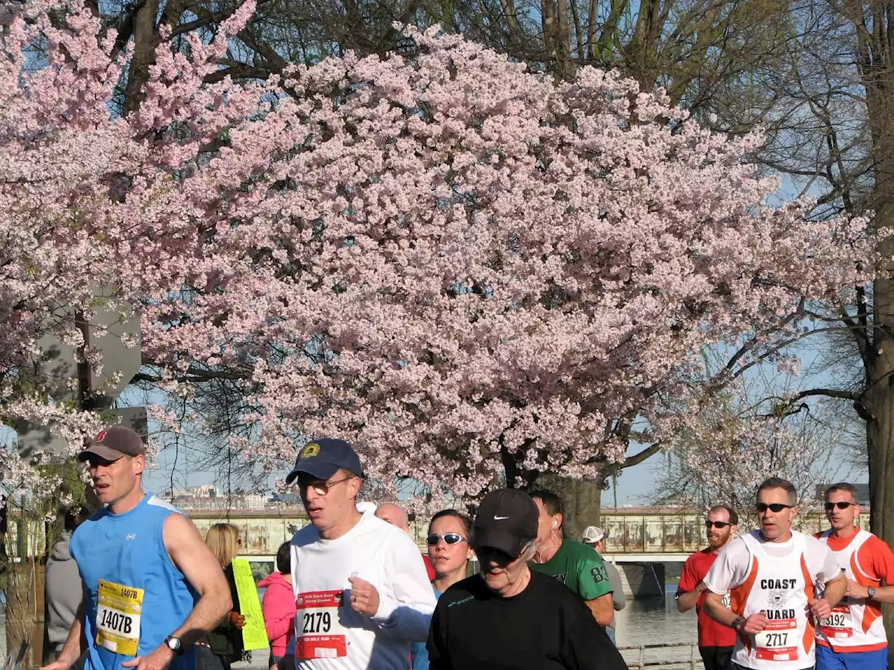 6 Great Runs and Races to Put on Your Spring Calendar | Washingtonian (DC)