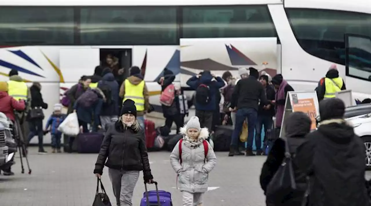 Plus de 300 Ukrainiens sont arrivés à Lille depuis le début de la guerre