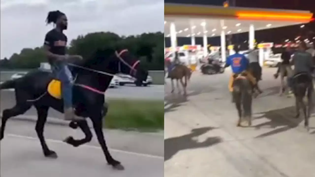 Must-see video shows Dallas residents on horses galloping down the roads