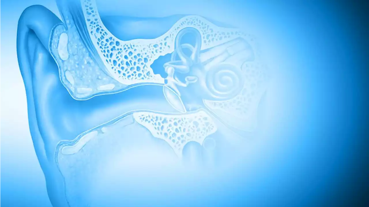 COVID virus can infect inner ear, cause hearing loss, study finds