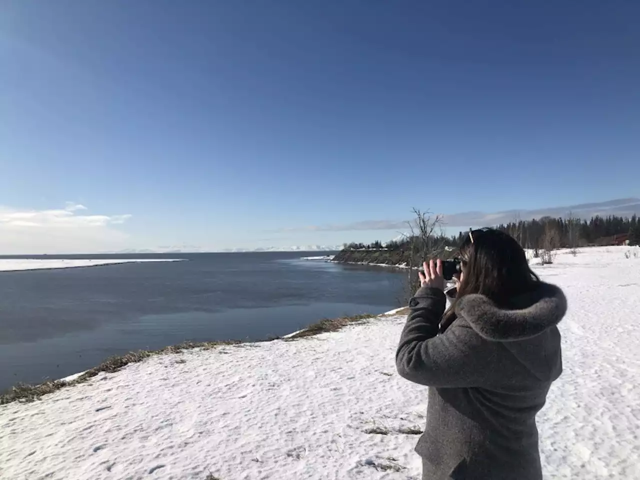 Volunteers help monitor Cook Inlet’s endangered belugas - Alaska Public Media