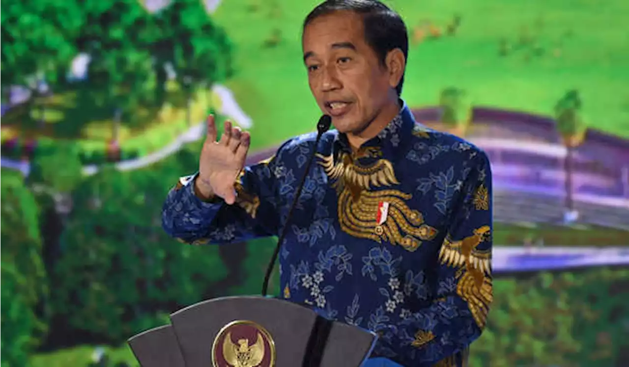 Terima Menlu Mesir, Jokowi Diundang Hadiri COP-27