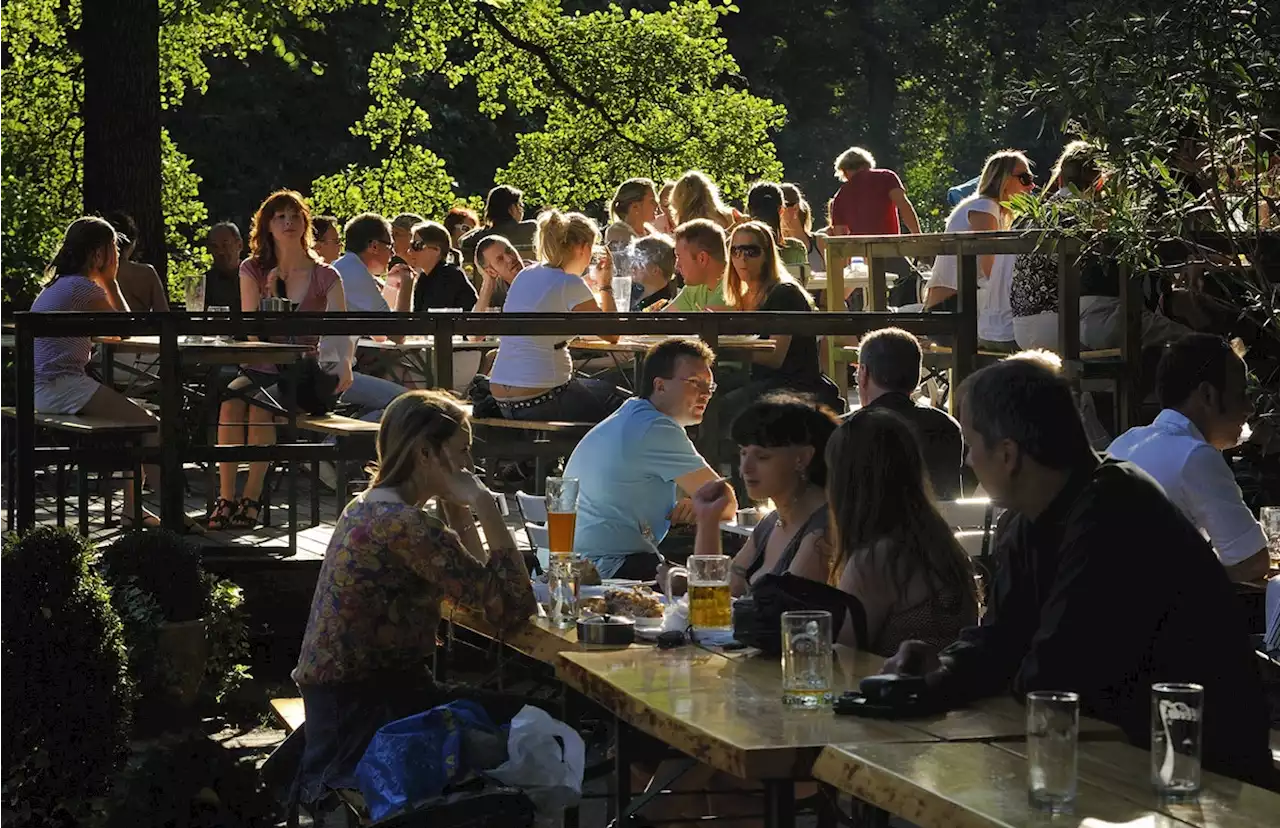 Berlin: Sechs Anzeichen, dass es Frühling wird