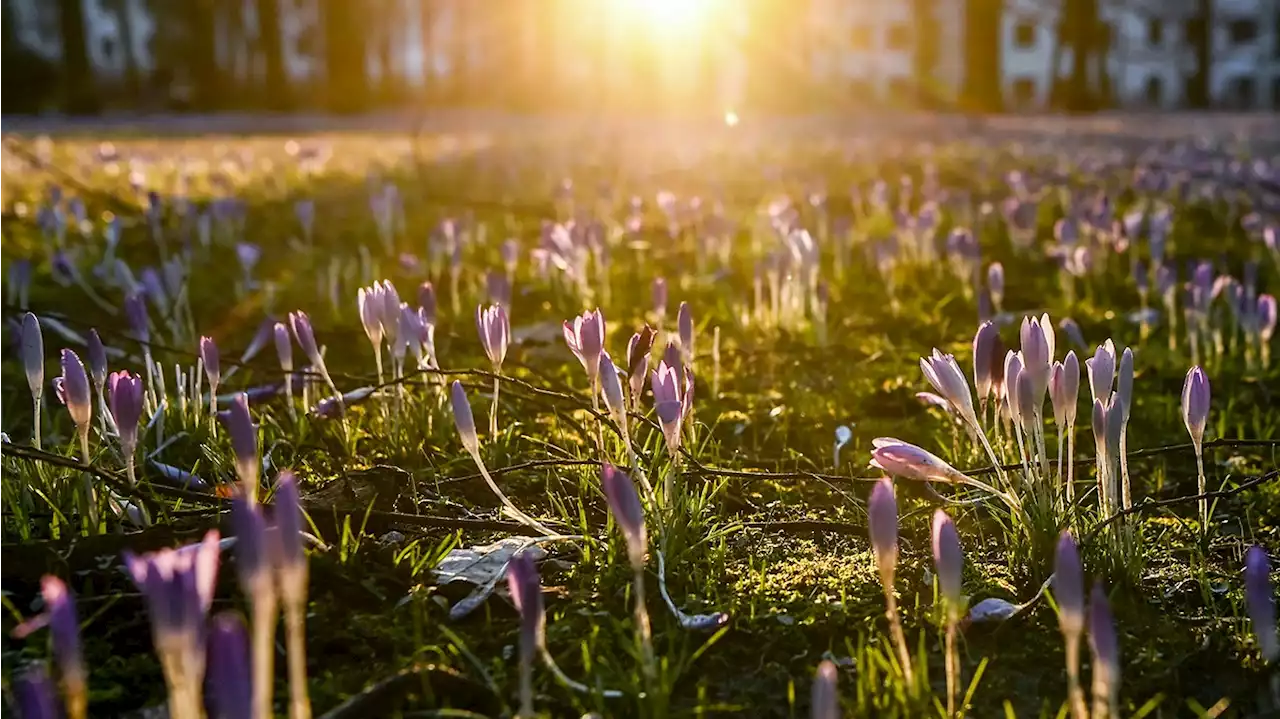 Sonniges Frühlingswochenende in Berlin und Brandenburg