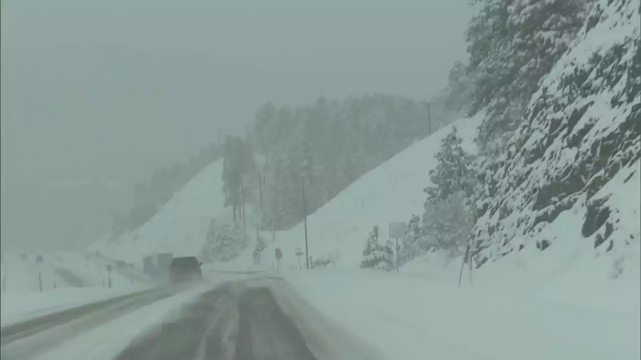 Colorado Weather: Heavy, Wet, St. Patrick's Day Snow Totals