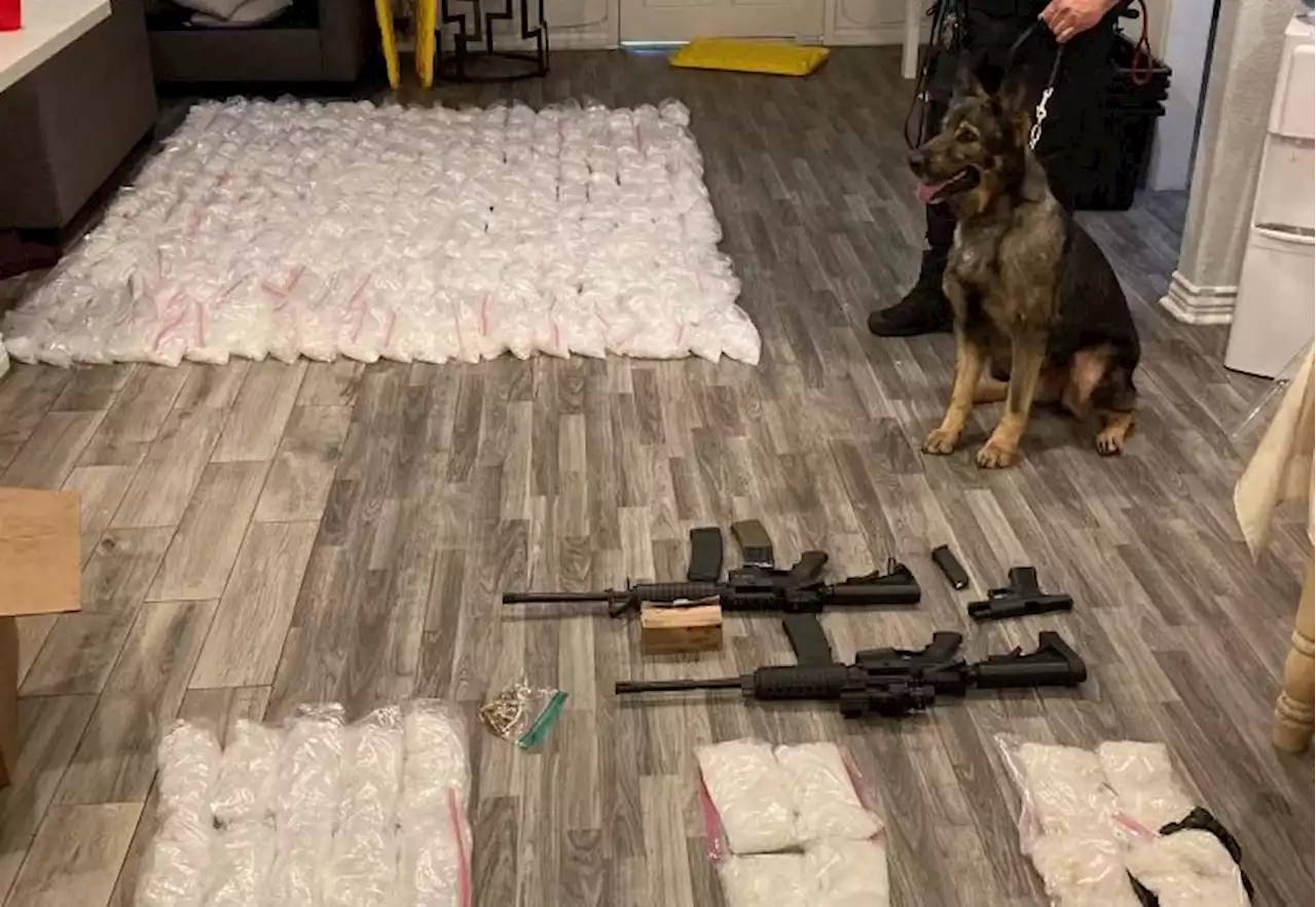 LAPD Officers Seize 260 Pounds Of Meth, Multiple Firearms And Over $50K In Drug Bust