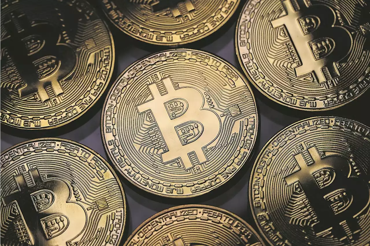 Who are South Africa's cryptocurrency investors? | Citypress