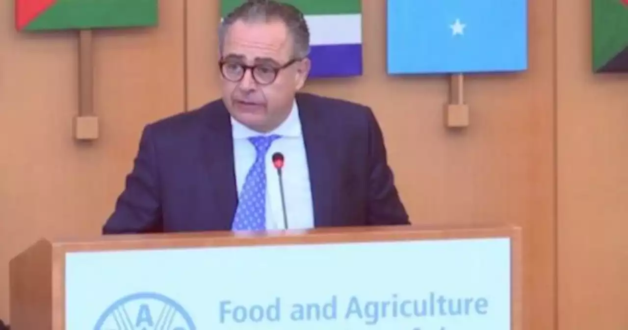 Qui�n es el argentino que presidir� el Subcomit� de Ganader�a de la FAO