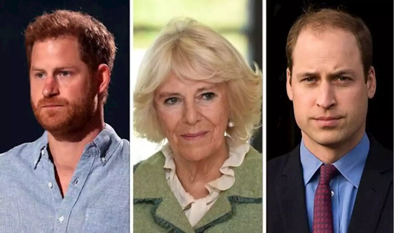 Camilla's ‘tricky’ relationship with William and Harry in early days: ‘Refused to see her’