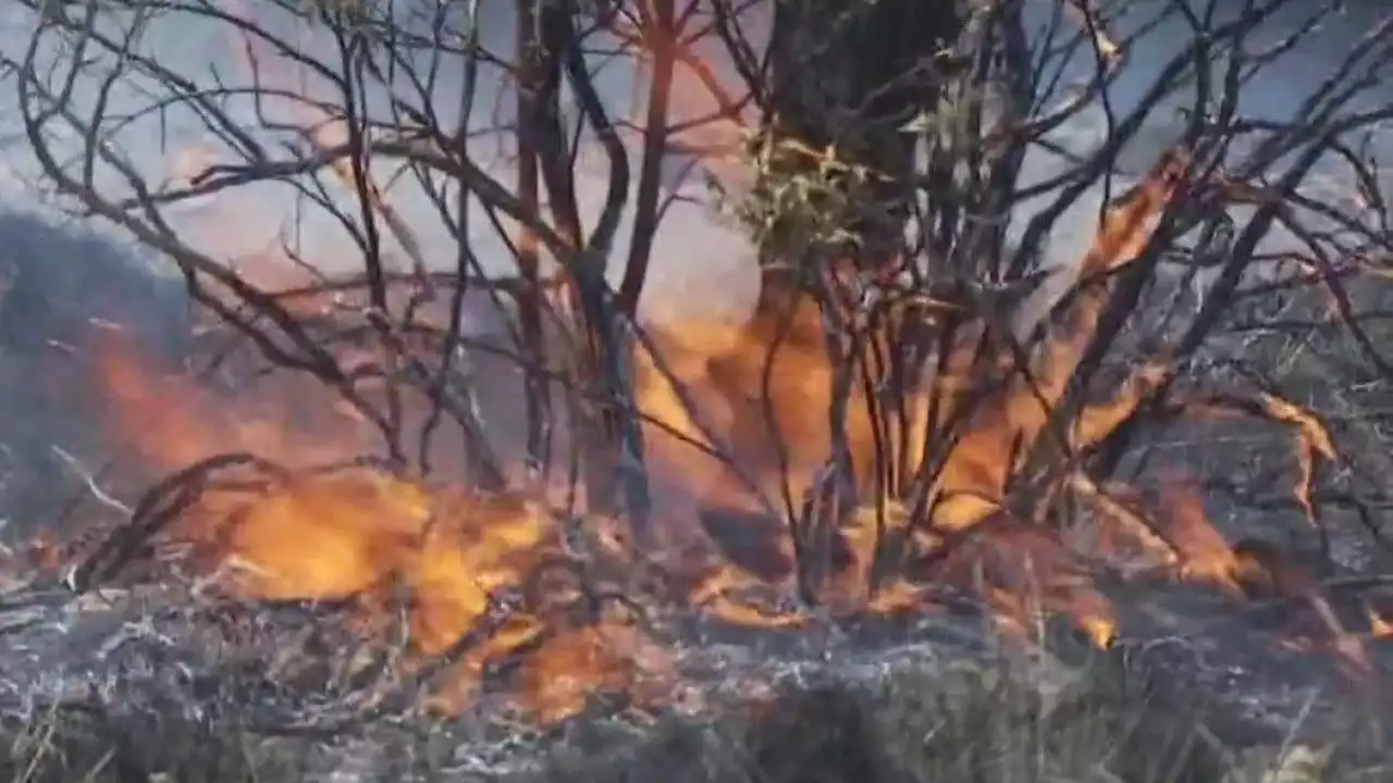 Texas wildfires fueled by gusty winds prompt evacuations