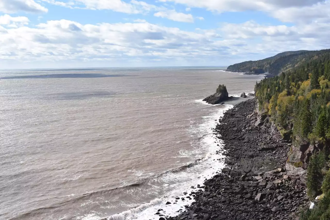 Dikes to protect N.S.-N.B. link from flooding expected to cost hundreds of millions