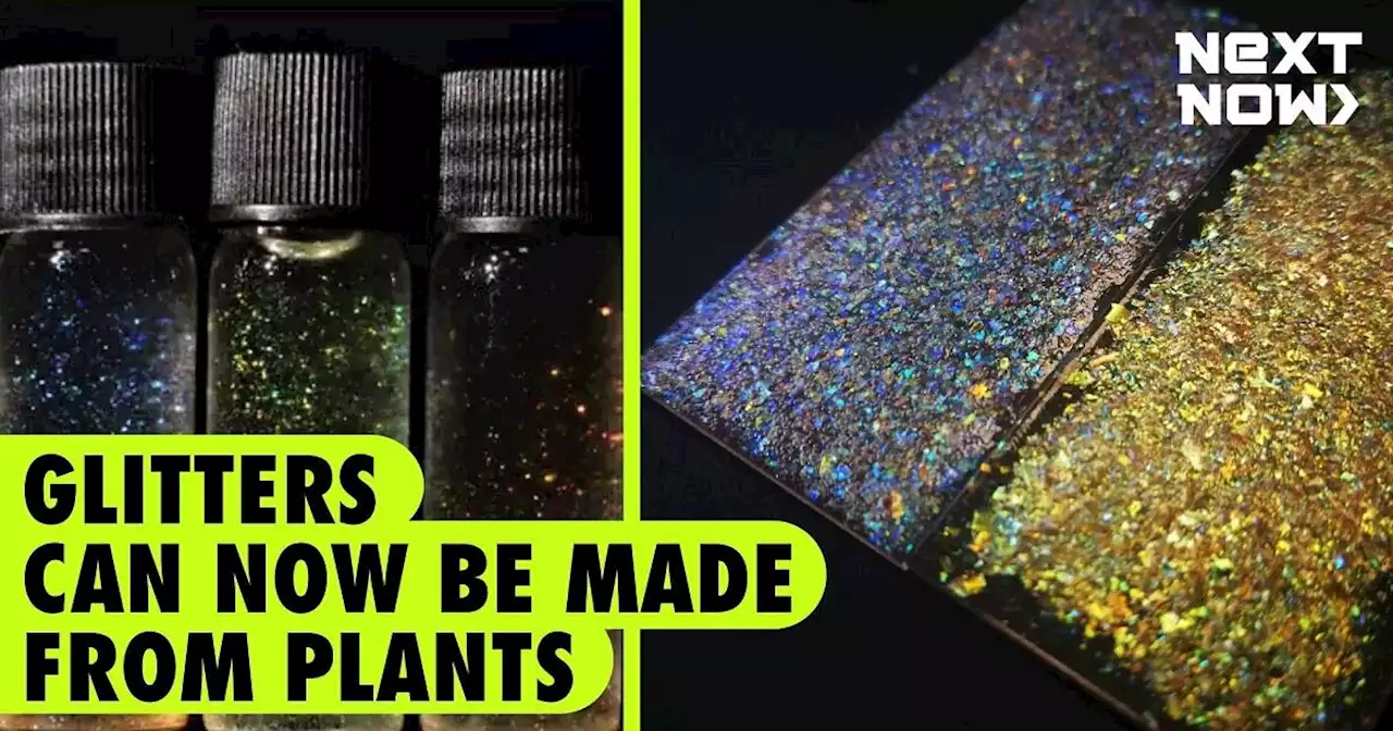 Can you make glitters from plants? Science says yes