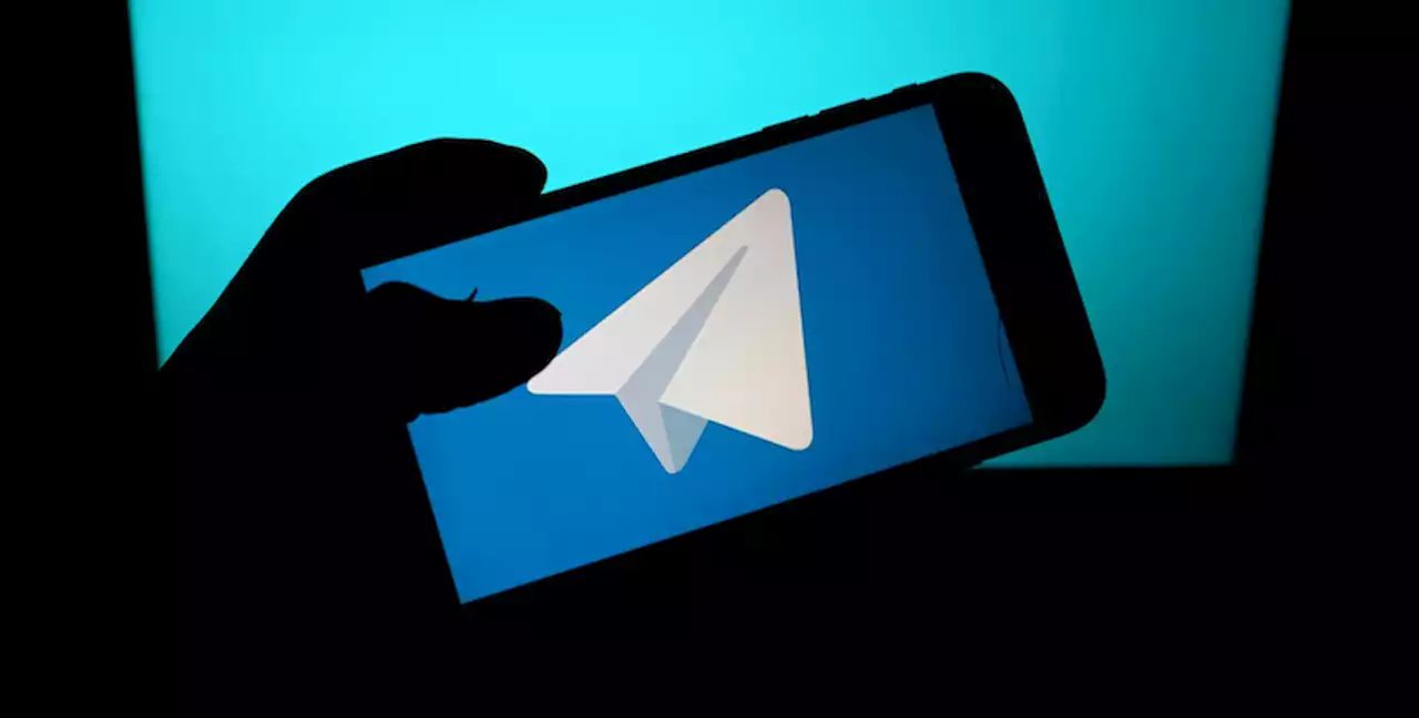 La Corte Suprema del Brasile ha ordinato il blocco di Telegram - Il Post