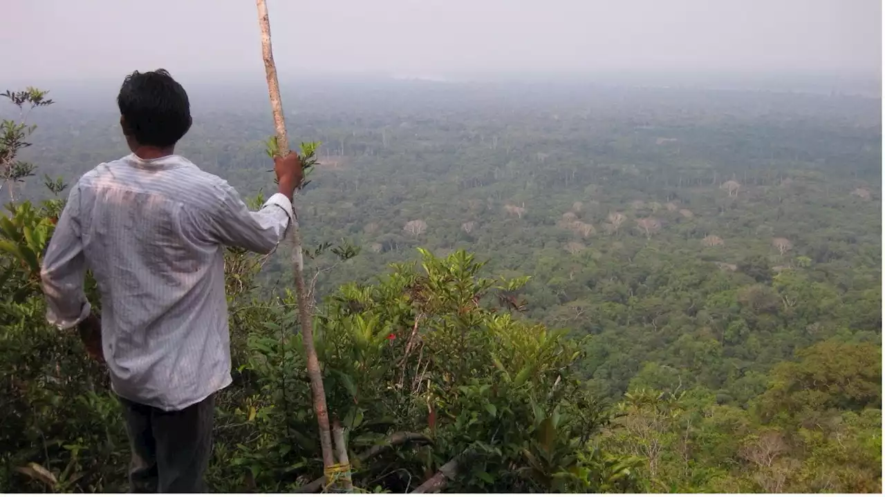 Indigenous brothers found alive after almost four weeks lost in Amazon rainforest